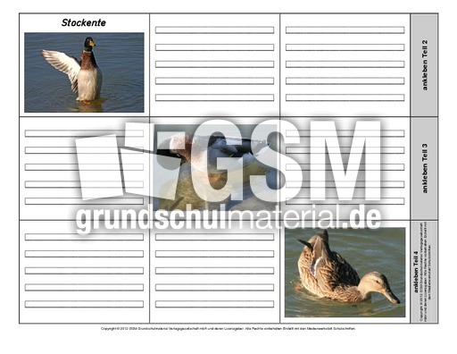 Leporello-Stockente-4-1-2.pdf